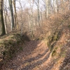 Teil des Graben- und Wegesystems am Fuße des Schlossbergs.