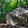 Zwingermauer (Foto: T. Gruber).