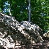 Zwingermauer (Foto: T. Gruber).