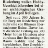 Kronen Zeitung, Jänner 2011